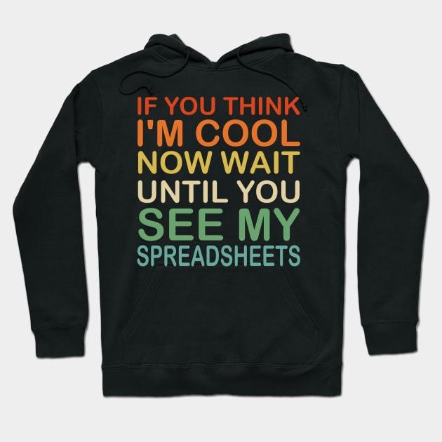 If You Think I'm Cool Now Wait Until You See My Spreadsheets Hoodie by Mr.Speak
